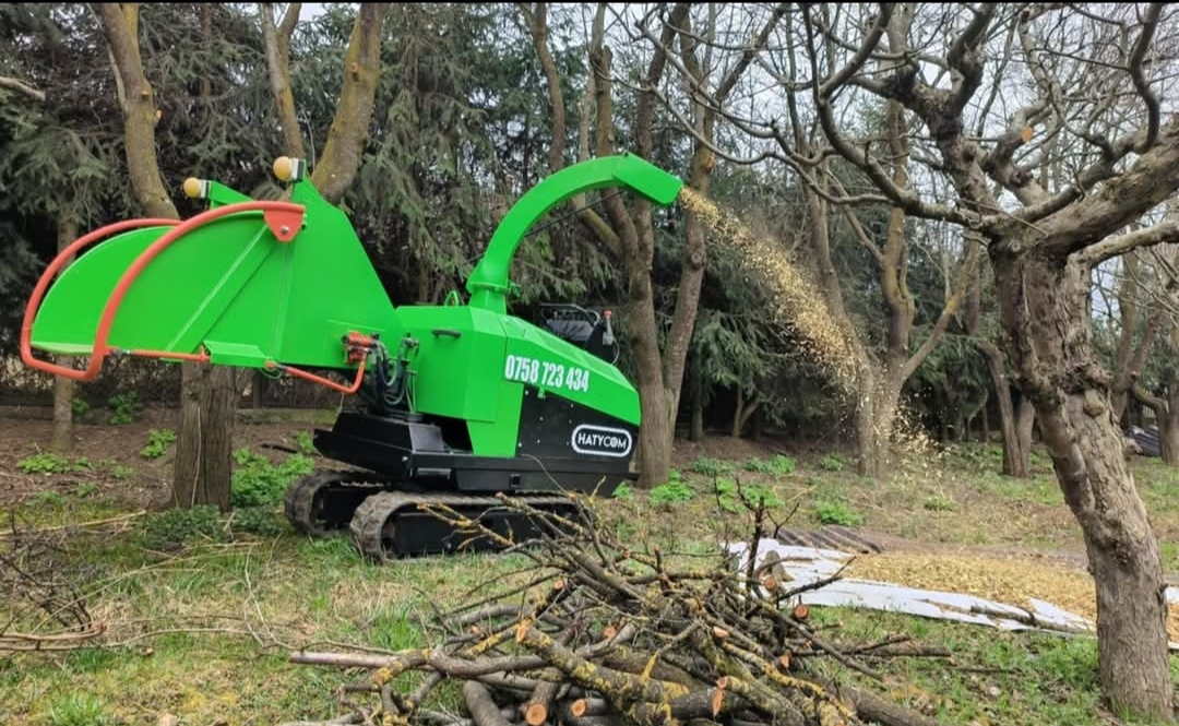 Tocător de lemn în acțiune 2