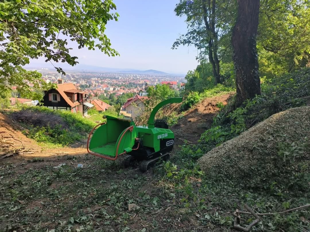 Tocător de lemn în acțiune 3