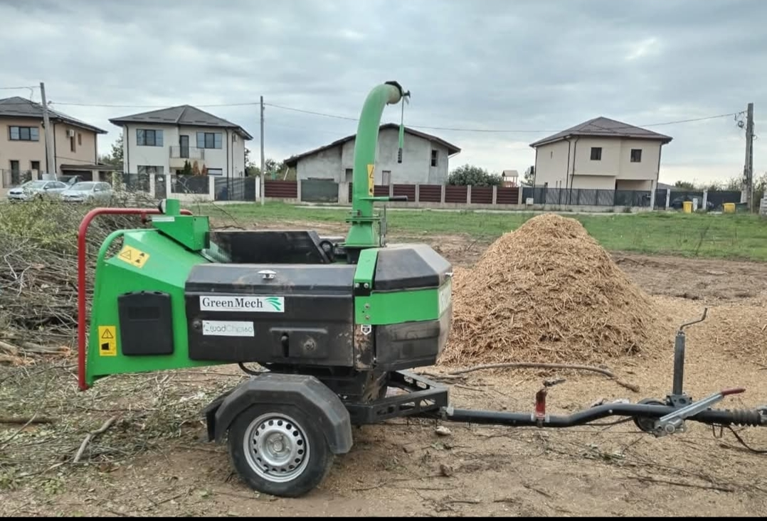 Tocător de lemn în acțiune 5